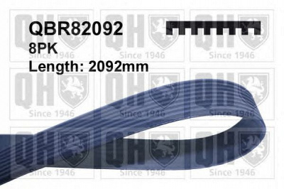 QUINTON HAZELL qbr82092 -  Поликлиновой ремень